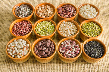 Various pulse seeds in 12 ceramic containers