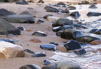 Shoreline