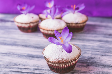 Muffins decorated with crocus flower on wooden light purple background..Spring. Close up