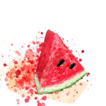 Red watercolor watermelon on vector art.