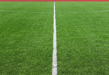 Soccer football field center divided with white line