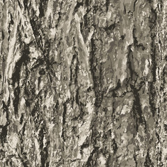 Texture bark shape with seamless background.
