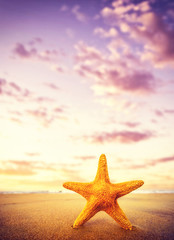 Fototapeta na wymiar Starfish on the beach on a sunny day