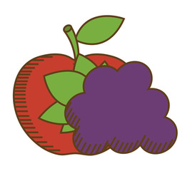 apple and grapes fruit icon over white background. colorful design. vector illustration