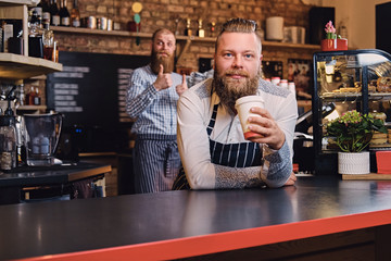 Bearded barista male at bar stand in a coffee shop.