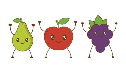 pear, apple and grape cartoon icon over white background. colorful design. vector illustration