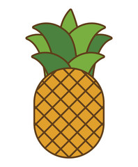 pineapple fruit icon over white background. colorful design. vector illustration