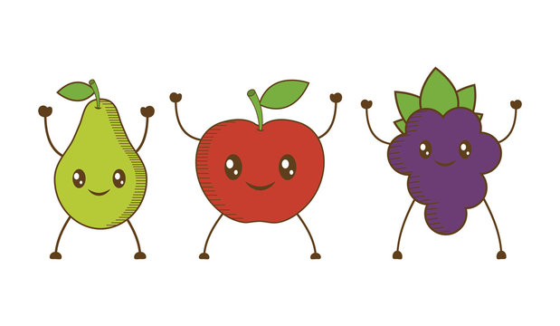 pear, apple and grape cartoon icon over white background. colorful design. vector illustration
