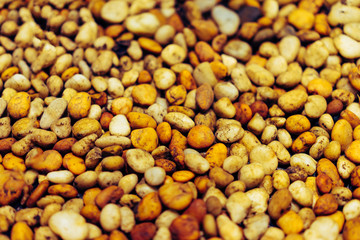 Gravel lot in warm light.