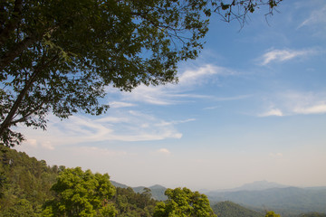 Obraz na płótnie Canvas tree with blue sky and mountain as background - landscape scene