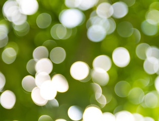 Obraz premium natural green background with bokeh circles.