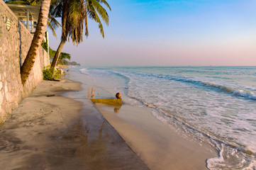 Coastline of tropical beach and coconut