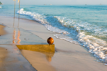 Coconut on the beach