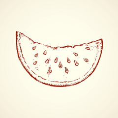 Watermelon. Vector drawing