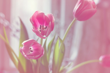 Pink tulips, bouquet.