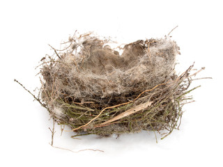 Found bird's nest, on white.