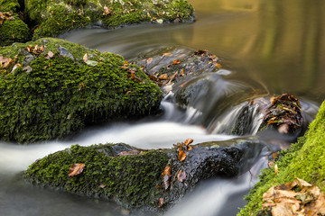 Triebtal im Herbst_4