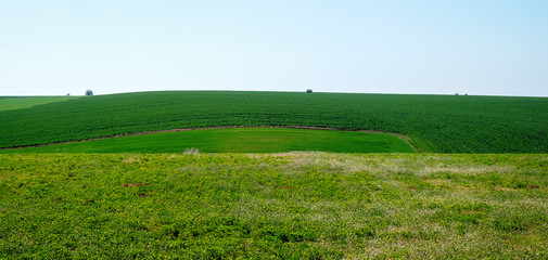 Spring green fields