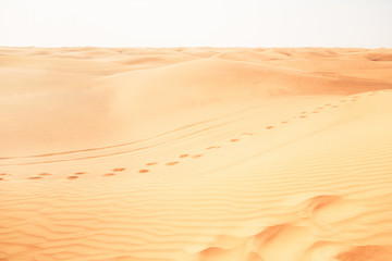 Footsteps In The Desert