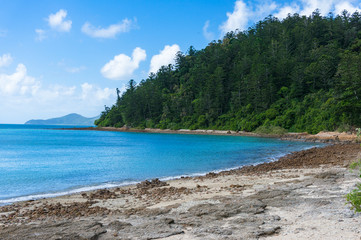 Beautiful beach with turquoise blue water and forest on the background