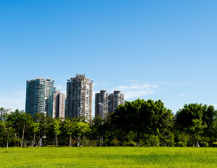 Fototapeta premium park and modern building in the city.