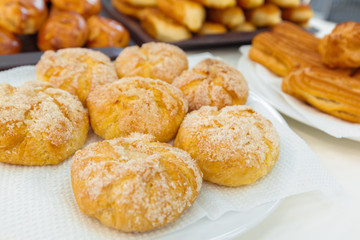 Traditional russian pies on plate
