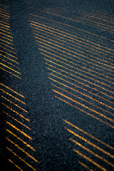 Fototapeta premium The shadow of a fence on the pathway