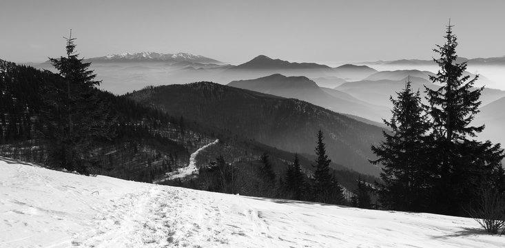 Slovak Landscape in Winter