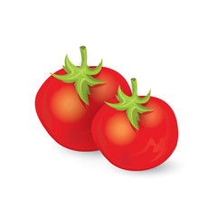 tomato icon and food vector