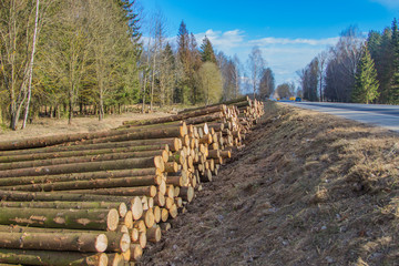 Заготовка леса, деревообработка, лесное хозяйство