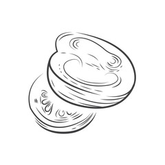 Tomato vector drawing design