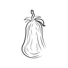Tomato drawing icon design
