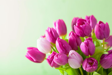 beautiful purple tulip flowers background
