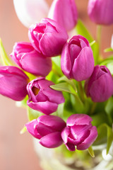 Obraz premium beautiful purple tulip flowers background
