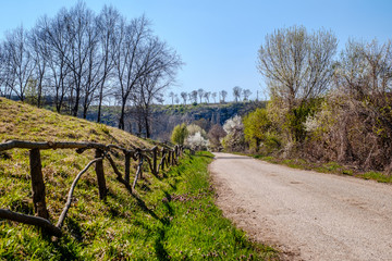 Country road spring