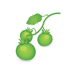 Green Tomato limb 3D Icon