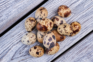 Quail eggs on gray wood. Top view of eggs.