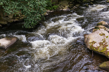 Bodetal Bode