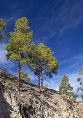 Central Gran Canaria, Nature Reserve Inagua