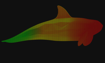 Ornamental structural design of Whale. 3D illustration.