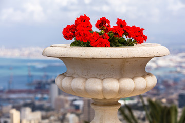 In Bahai-Weltzentrum