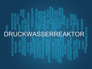 Druckwasserreaktor