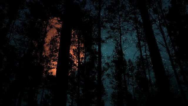 Big Moon in a Forest at night an lots of Stars