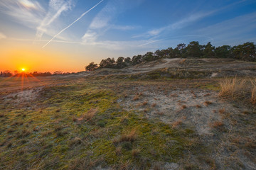 Wanderd&uuml;ne D&ouml;mitz 2 / Die Wanderd&uuml;ne in Klein Schm&ouml;len bei D&ouml;mitz an der Elbe (Mecklenburg - Vorpommern), aufgenommen w&auml;hrend des Sonnenuntergangs vom 28. M&auml;rz 2017.