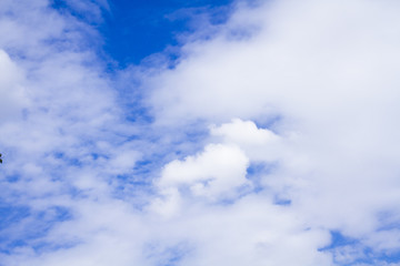 white fluffy clouds in the blue sky with sunset.