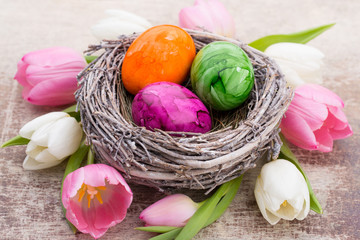 Obraz na płótnie Canvas Easter eggs in the nest and tulip. Gray background.