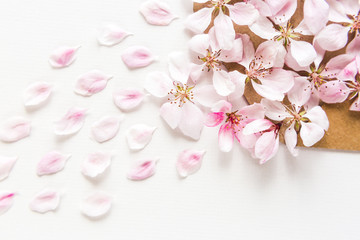 close up of light and soft petals of sakura on white background. Concept of love. feeling of spring. flat lay. top view.