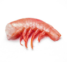 shrimp without head on a white background