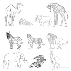 Vector illustration, the image of animals, animals. Black and white line. Elephant, kangaroo, camel, lion, zebra, rhinoceros, giraffe, snake, crocodile and tiger