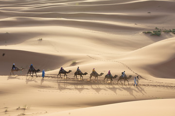 camelride  at Marocco desert